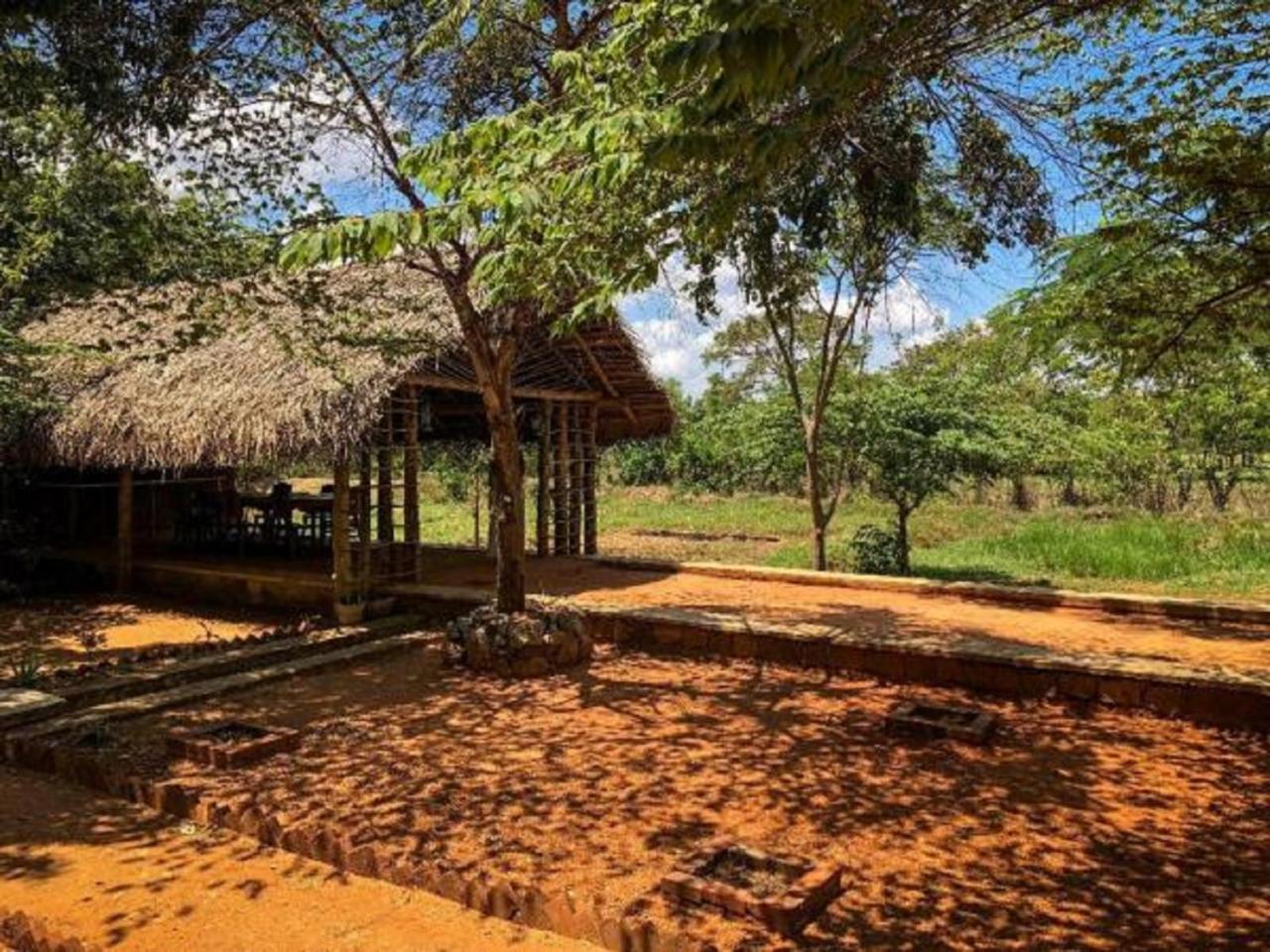 Castle Rock Sigiriya Hotell Kibissa Eksteriør bilde