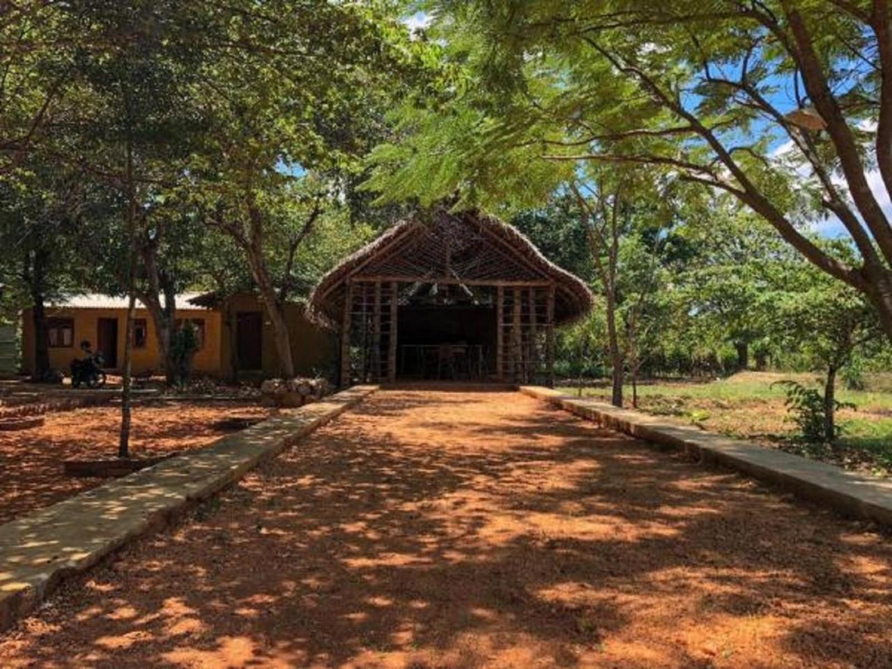 Castle Rock Sigiriya Hotell Kibissa Eksteriør bilde